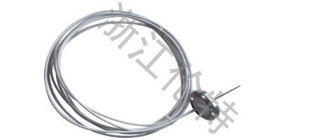 防腐熱電偶（阻）